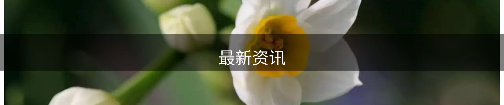 最新资讯